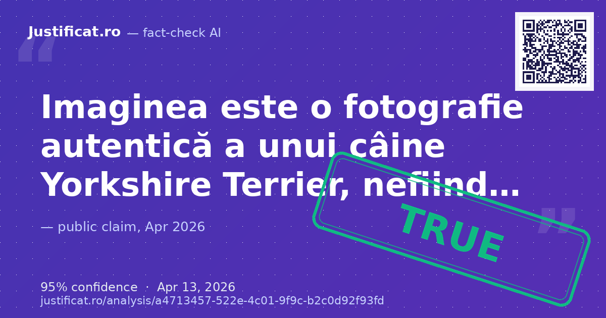 O imagine care prezintă un câine Yorkshire Terrier, pentru a verifica autenticitatea acesteia și a stabili… — rated ADEVĂRAT