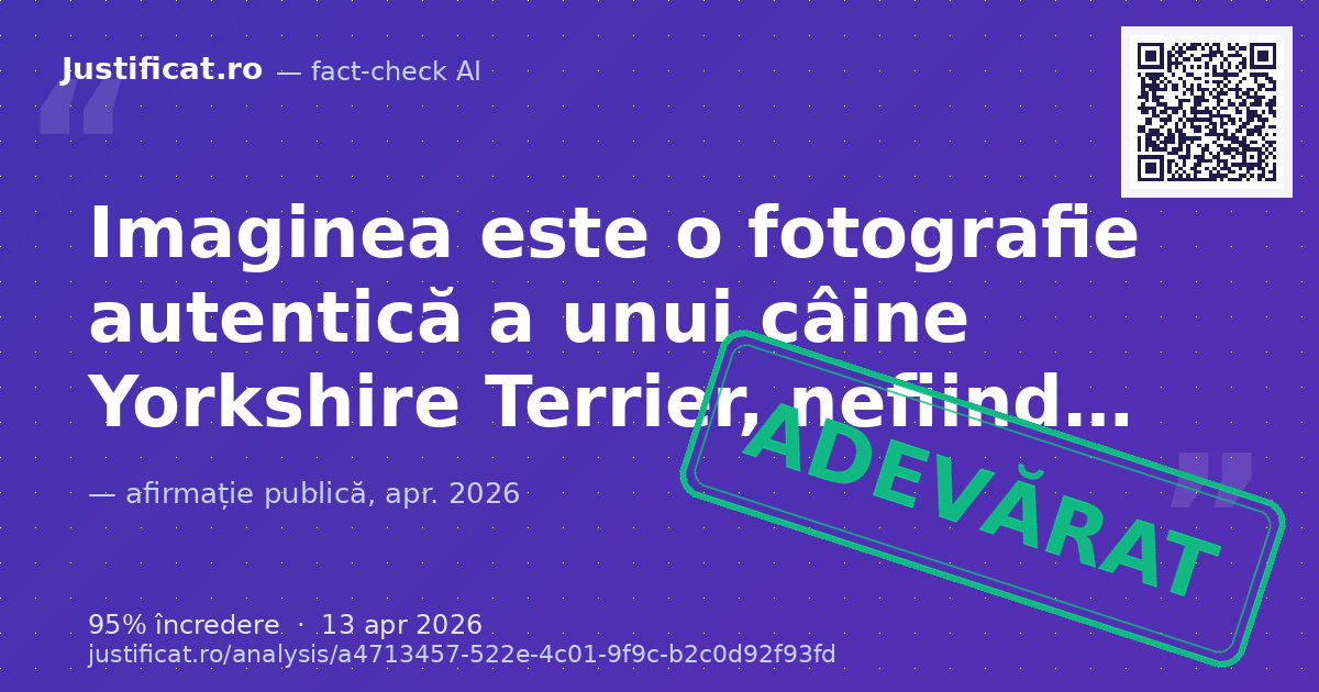 O imagine care prezintă un câine Yorkshire Terrier, pentru a verifica autenticitatea acesteia și a stabil… — verdict ADEVĂRAT